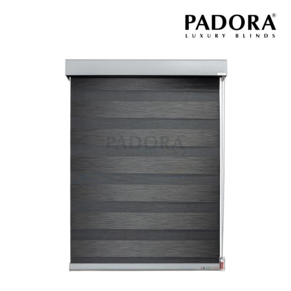 hinh-rem-cau-vong-dragon-dg001 (1) hinh-rem-cau-vong-dragon-dg001 (1)